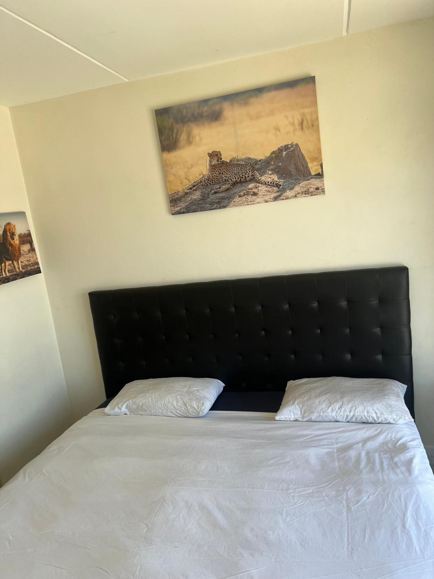 Sunny Escape Rentals Parklands Eksteriør billede